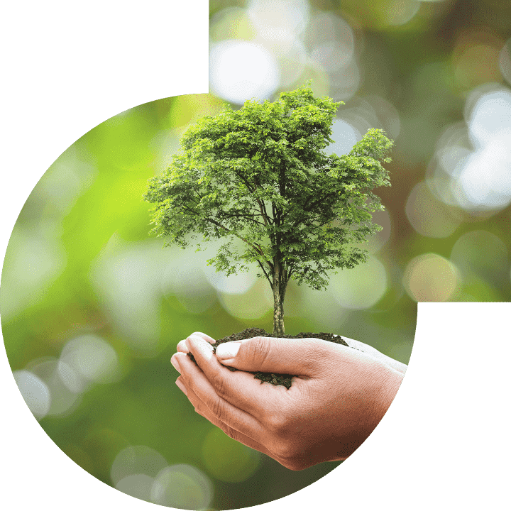 关怀人类、、、文化、、、、环境与社会